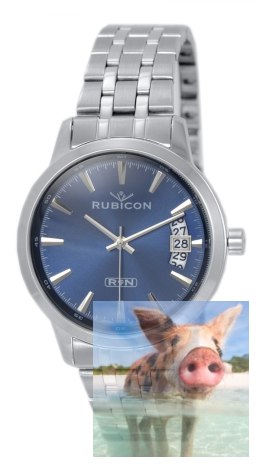 Zegarek męski RNDD67SIDX05BX