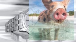 Zegarek męski RNDD67SISX05BX