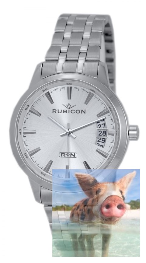 Zegarek męski RNDD67SISX05BX