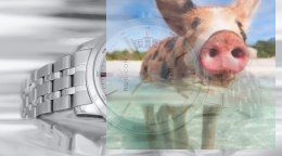 Zegarek męski RNDD67SISZ05BX