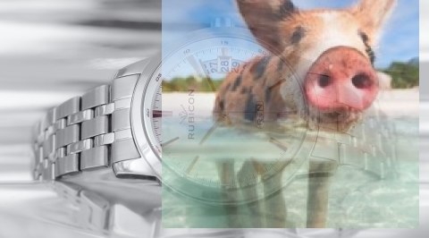 Zegarek męski RNDD67SISZ05BX