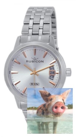 Zegarek męski RNDD67SISZ05BX