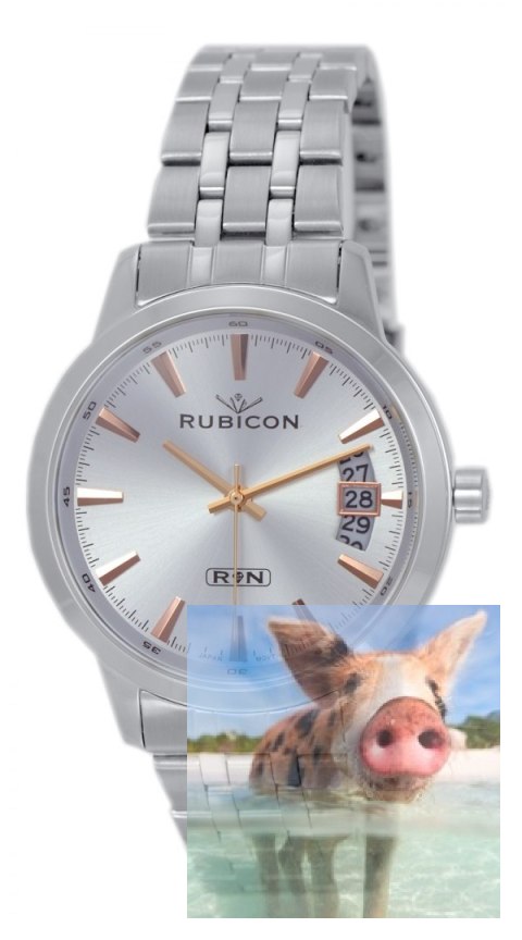 Zegarek męski RNDD67SISZ05BX