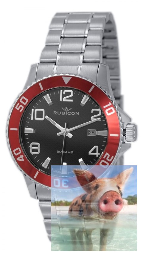 Zegarek męski RNDD68SMBX10BX