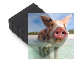 Adapter XT60 męski - TRX żeński