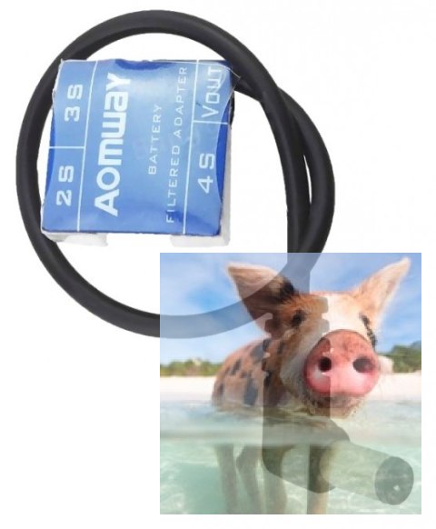 Adapter akumulatora 2S 3S 4S do DC Jack 5.5mm z filtrem