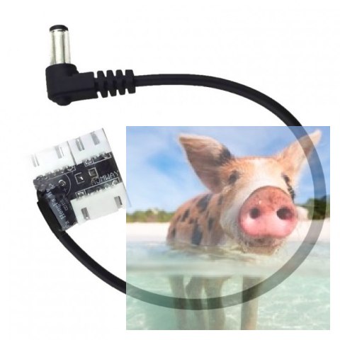 Adapter akumulatora 2S 3S 4S do DC Jack 5.5mm z filtrem