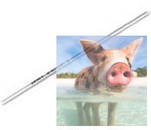 Belka ogonowa - QS8006-018