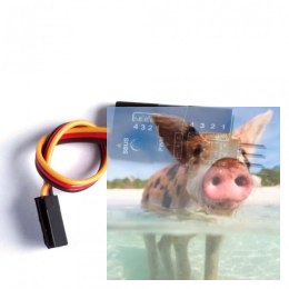 Dekoder SBUS