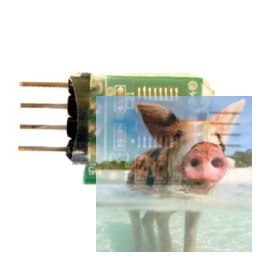 FUL-1 Programator do D8R / Konwerter RS-232 do TTL