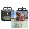 FlySky FS-i6X 10CH 2.4GHz + odbiornik FS-iA10B AFHDS 2A PPM i-Bus
