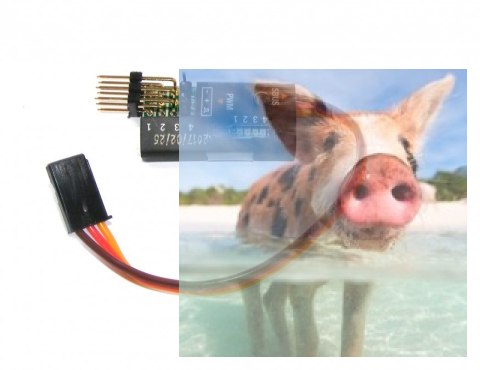 FrSk S.BUS dekoder na PWM