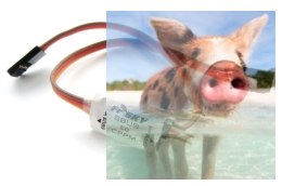 FrSky dekoder S.BUS do CPPM