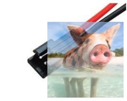 Gniazdo SM żeńskie