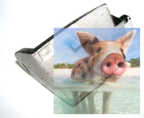 Kabina kadłuba Sky Surfer