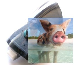 Kabinka z szybką i pilota Sky Surfer