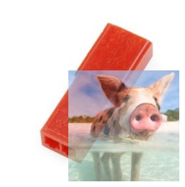 Konektor JST/BEC żeński bez pinów