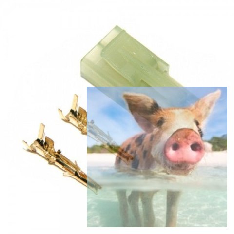 Konektor męski Mini Tamiya z pinami