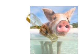 Konektor męski typu banan 2mm - krótki