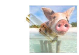 Konektor żeński typu banan 3,5mm