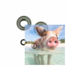 Łożyska małe i duże - QS8006-015