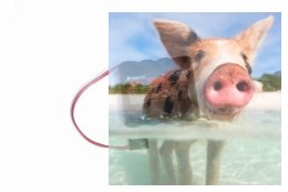 MX-12 HoTT 2.4GHz 6CH (1 odbiornik, interfejs USB, karta pamięci, akumulator, ładowarka)