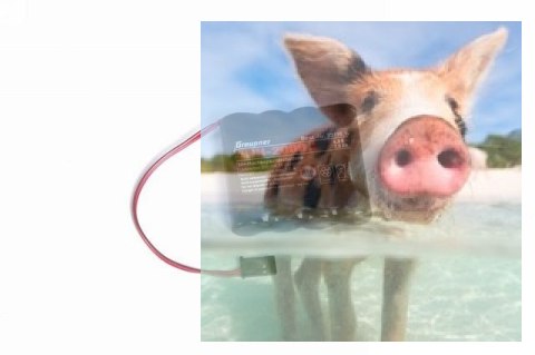 MX-12 HoTT 2.4GHz 6CH (1 odbiornik, interfejs USB, karta pamięci, akumulator, ładowarka)