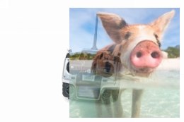 MX-16 HoTT 2.4GHz 8CH (odbiornik GR-16, interfejs USB, karta pamięci, akumulator, ładowarka)