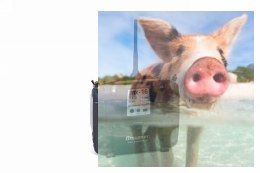 MX-16 HoTT 2.4GHz 8CH (odbiornik GR-16, interfejs USB, karta pamięci, akumulator, ładowarka)