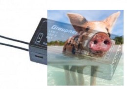 MX-20 HoTT 2.4GHz 12CH (odbiornik GR-16, interfejs USB, karta pamięci, akumulator, ładowarka)