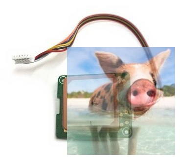 Moduł GPS - X8PRO-21