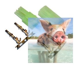 Para konektorów Mini Tamiya z pinami