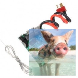 Płytka PCB - QS8006-013