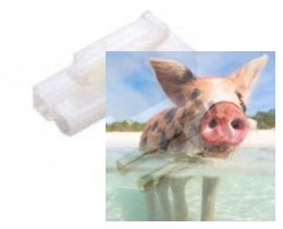 Pozłacany konektor męski Tamiya