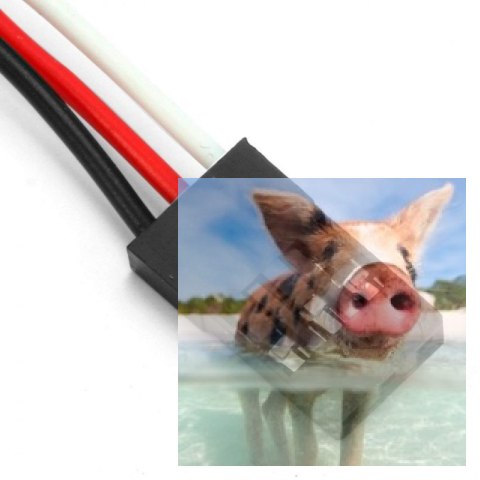 Przewód uczeń-nauczyciel v2