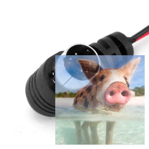 Przewód uczeń-nauczyciel v2