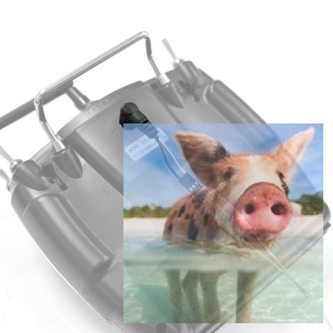 Przewód uczeń-nauczyciel v2