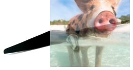 Śmigło napędowe Sky Surfer (z piastą)