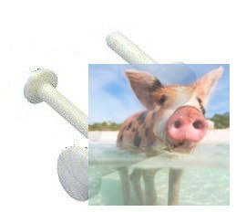 Śruba plastikowa M6x50mm - 1szt.