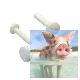 Śruby plastikowe M5x30mm, Biała - 4szt