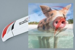 Ster pionowy i poziomy Sky Surfer