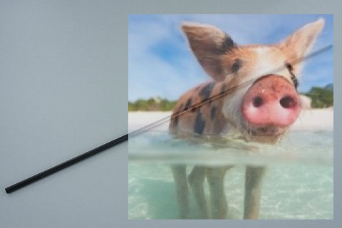 Węglowy łącznik skrzydeł Sky Surfer