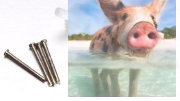 Zębatka X11-05 4szt