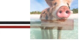 Złącze JST z gniazdem i kablem 20AWG 10cm