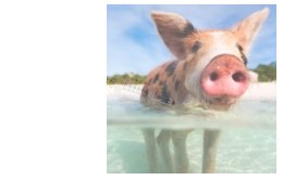 Aluminiowy filtr paliwa - maxi