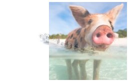 Aluminiowy filtr paliwa - maxi