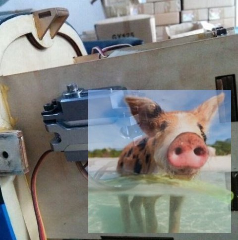 CNC Aluminiowe mocowanie serwa typu standard