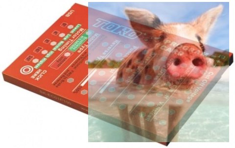 Karta programująca do regulatorów SkyRC Toro