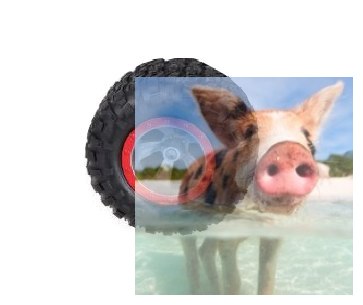 Koła Leopard King 2szt. - UD2169A-01