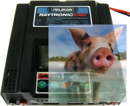 Ładowarka 2-kanałowa Raytronic C60 2x500W
